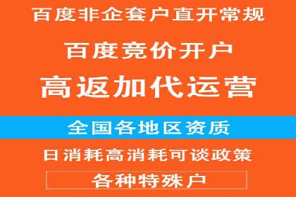 行业领先企业的SEM竞价推广策略揭秘